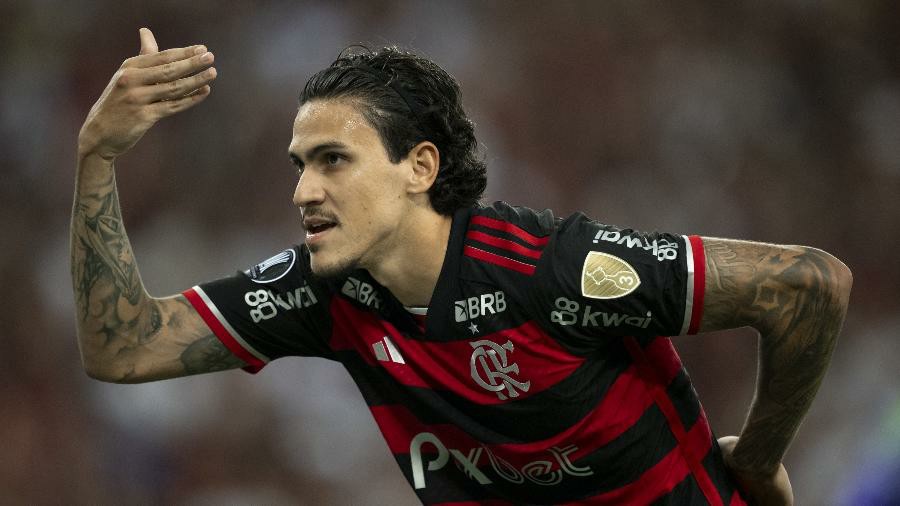 pedro-comemora-gol-durante-flamengo-x-millonarios-partida-da-libertadores-1716943476872_v2_900x506