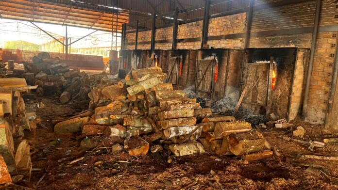 SSP-AM_CRIMES_AMBIENTAIS_FOTO_DIVULGACAO_SSP_AM-4