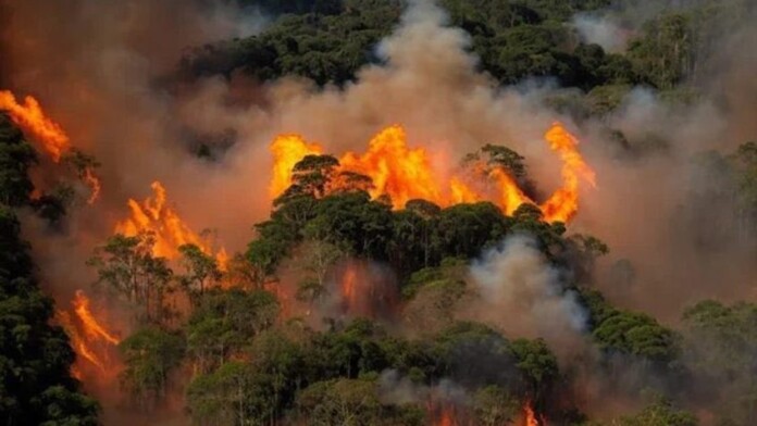 lula-fogo-17nov2023-848x477
