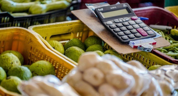 alimentos