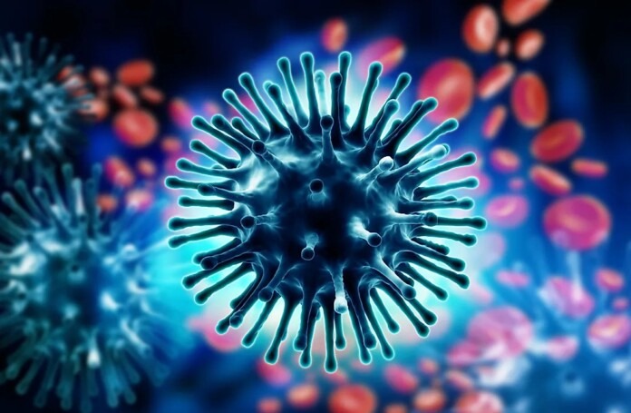 Virus-Influenza