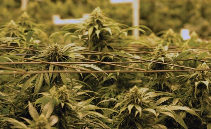 tumblr_df284fe587fa5292951c05c0182da773_45a1a0b9_1280