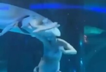 “Sereia” é atacada por peixe gigante em aquário na China