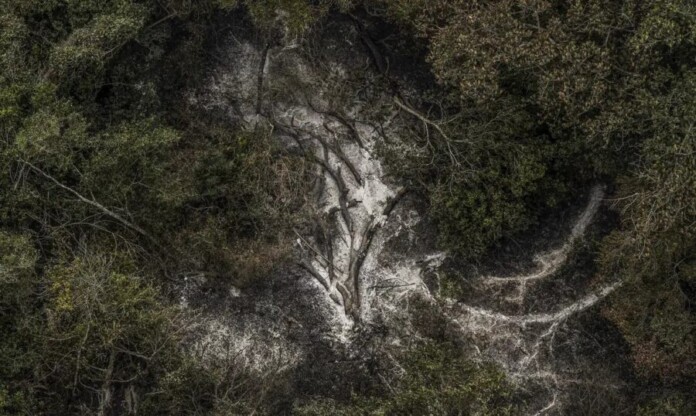 imagens-aereas-pantanal_mcamgo_abr_30062024-3_0