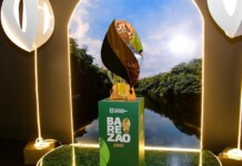 Campeonato Amazonense 2025 é lançado com novidades na Arena da Amazônia