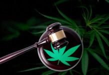 STF mantém decisão que descriminaliza porte de maconha e rejeita recursos