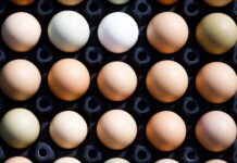 Preço do ovo sobe 61% e ultrapassa cortes de carne, chegando perto da picanha