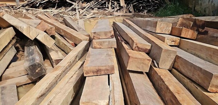 Madeiras-encontradas-durante-fiscalizacao_Foto-2-Divulgacao-Ipaam-26-03-2025-1536x740