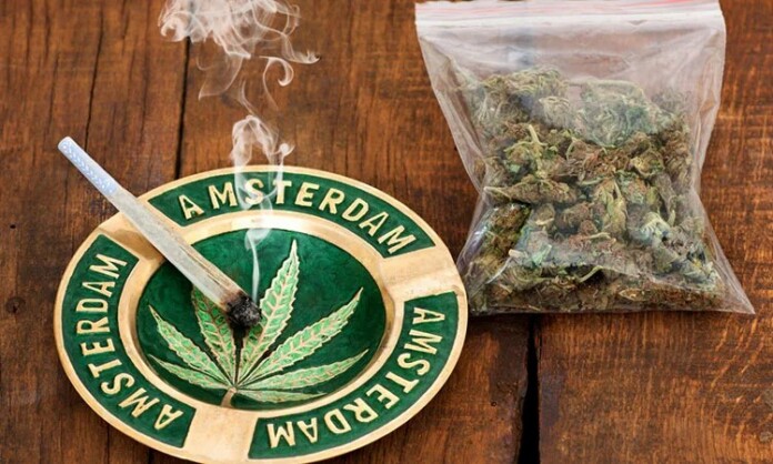 maconha-na-holanda-jpg