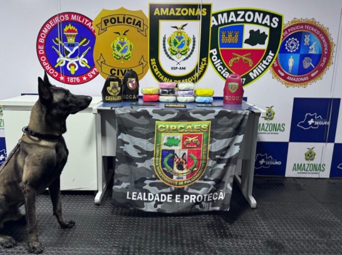 APREENSAO_BASE_ARPAO_FOTO_DIVULGACAO_SSP-1536x1148