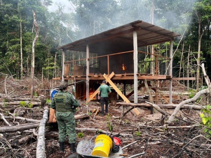 Equipe-do-Ipaam-e-do-Batalhao-Ambiental-durante-acao_Foto-1-30-04-2025