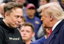 Confira os motivos que levaram Elon Musk a sair do governo Trump