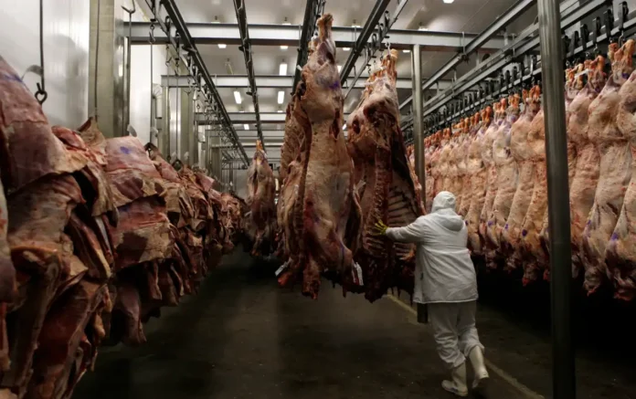 2025-07-15T161346Z_1_LYNXMPEL6E0R8_RTROPTP_4_ALIMENTOS-RUSIA-BRASIL