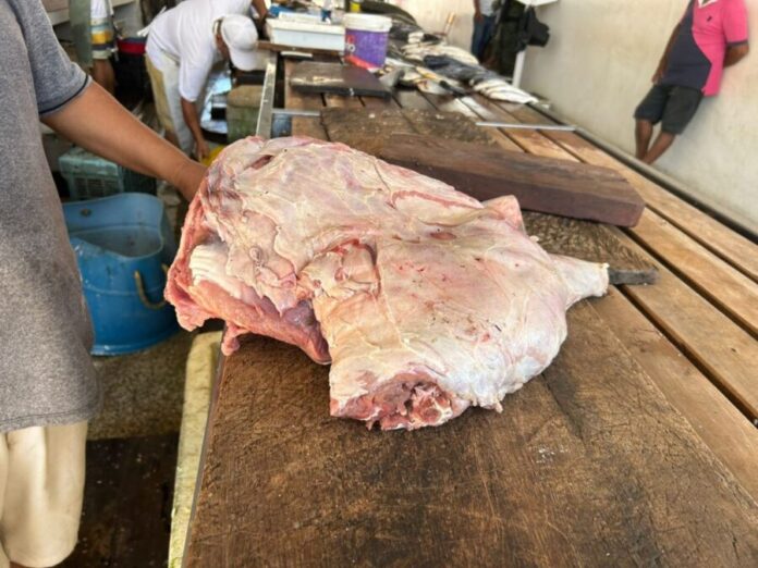 Carne-de-capivara_Foto-1-15-07-2025-1536x1152