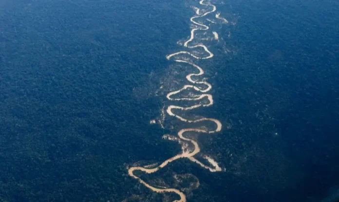 yanomami-frazao-10