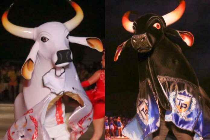 Cultura_lancamento_festival_Barreirinha_foto_Divulgacao3