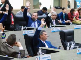 Câmara Municipal de Manaus aprova projeto que inclui curso de desengasgo no pré-natal