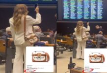 Deputada trans Érika Hilton é flagrada com bolsa de R$ 18 mil na Câmara e gera polêmica