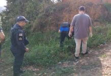 Corpo com marcas de tiros é encontrado em área de mata no Colônia Terra Nova em Manaus