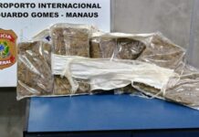 Suspeito corre de fiscalização, mas é preso com maconha no Aeroporto de Manaus