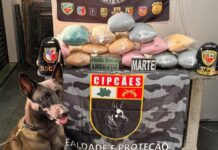 Base Arpão 2: PMAM apreende mais de 240 quilos de entorpecentes em pouco mais de 72 horas