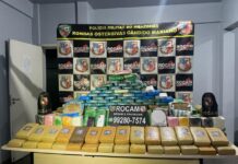 Polícia Militar do Amazonas registra aumento de 56% na apreensão de entorpecentes, em 2025