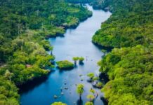 Amazonas registra menor número de focos de calor para setembro desde 2002, aponta Inpe