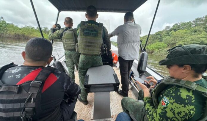 WhatsApp Image 2025-10-08 at 20.19.48