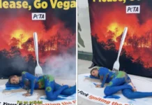 Luisa Mell pinta o corpo em protesto sobre a COP30 e faz apelo: “Seja vegano”