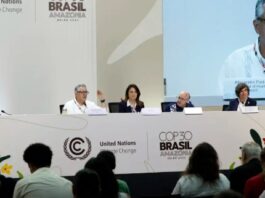 Brasil recebe doação de US$ 300 milhões para plano de saúde climática