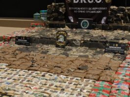 PC-AM prende casal e apreende mais de 600 quilos de maconha e cocaína avaliados em R$ 13,5 milhões