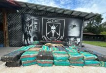 Líder na região norte, Amazonas é o 6° estado que mais apreende drogas no país