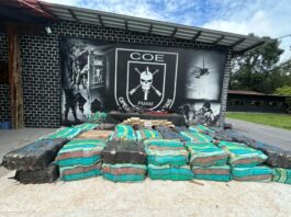 Líder na região norte, Amazonas é o 6° estado que mais apreende drogas no país