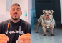 Influenciador acorda sem dedo e descobre que seu cachorro comeu enquanto ele dormia