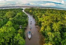 Suíça anuncia doação de R$ 33 milhões para Fundo Amazônia às vésperas da COP30
