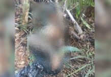 Corpo amarrado e com objeto enfiado no ânus é encontrado em área de mata no Tarumã