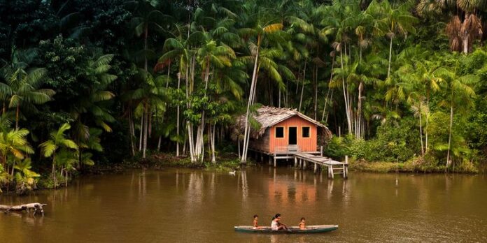 Amazonia Banner 1 - IDB - Amazonia Bonds