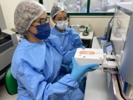 Surto de Oropouche na Amazônica Ocidental foi causado pelo inseto maruim