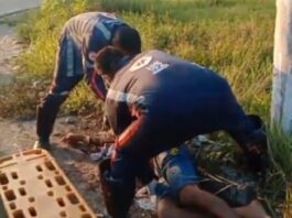 Queda de moto deixa condutor ferido na Cidade Nova em Manaus