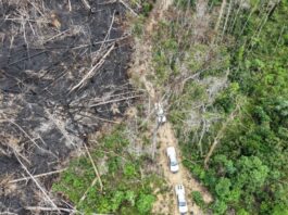 Operação Tamoiotatá 2025: Ipaam aplica R$ 144,7 milhões em multas por crimes ambientais no sul do Amazonas