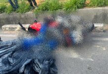 Tragédia! Motociclista morre após ser esmagado por carreta na Bola da Samsung; veja vídeo