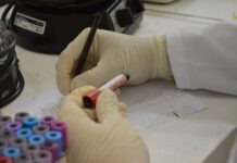 Polícia Científica identifica quatro corpos localizados entre os anos de 2022 e 2024