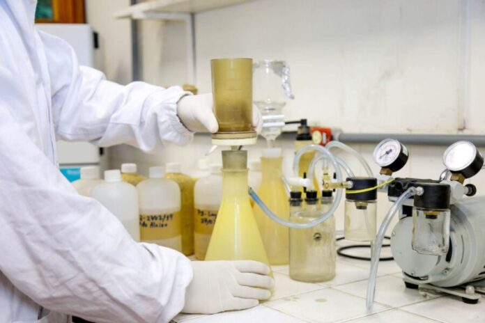 WhatsApp Image 2026-02-03 at 17.31.47(1)