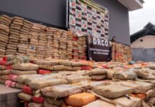 Operação em Manaus apreende 2,7 toneladas de drogas, prende 11 e gera R$ 54 milhões de prejuízo ao crime organizado