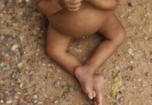 Vulnerabilidade social reduz altura média de crianças indígenas e nordestinas, aponta pesquisa