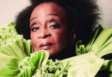 Nove escolas de samba retornam ao Sambódromo do Anhembi para o Desfile das Campeãs de SP