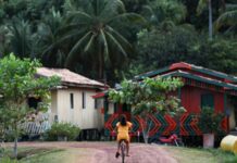 Amazônia Legal concentra quase metade dos conflitos de terra no Brasil em 2023, aponta estudo