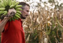 Câmara aprova uso de recursos do FGO em operações do Pronaf