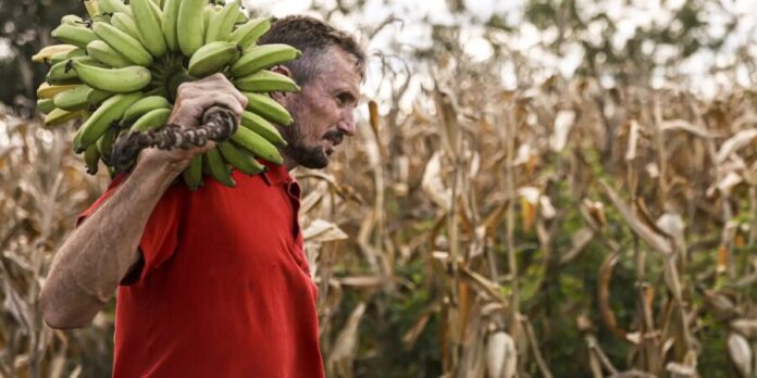 Câmara aprova uso de recursos do FGO em operações do Pronaf