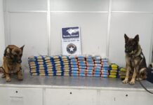 Receita Federal encontra 100 kg de skunk em carga de açaí no Aeroporto de Manaus